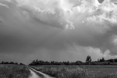 Yazın kırsalda fırtına bulutları... Kara gökyüzü ve bulutlarla...