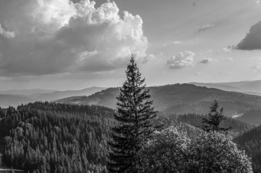 Papaka Dağları, Karpatlar, Papazaniler, en yükseği ve Ukrayna 'daki hırsızlar. siyah ve beyaz fotoğrafçılık