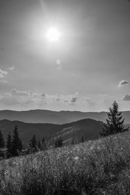 dağlarda güzel peyzaj.