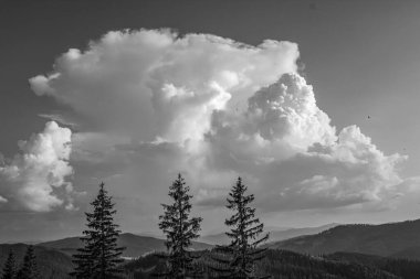 Karpat Dağları, siyah beyaz fotoğraf
