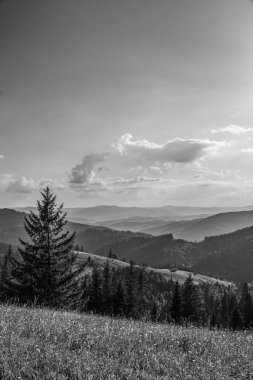 bir manzaranın siyah beyaz fotoğrafı