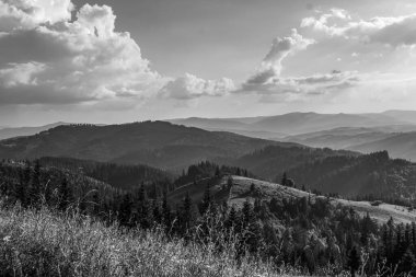 Yazın Karpat Dağları