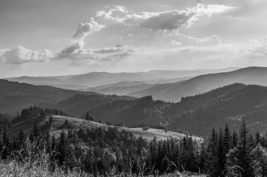 Karpat Dağları 'nın siyah beyaz fotoğrafı, Ukrayna