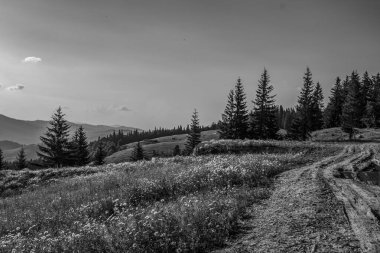 Dağ yolu olan güzel bir manzara