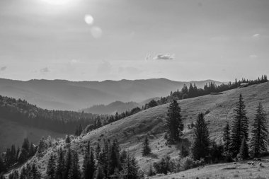 Yazın Karpat Dağları