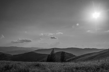 Güzel manzara. doğa arkaplanı