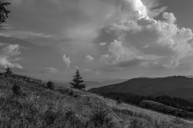 Karpatlarda Yaz manzarası.