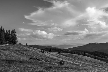 Karpatlar 'daki siyah ve beyaz dağ manzarası