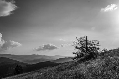 Siyah beyaz bulutları olan dağ manzarası
