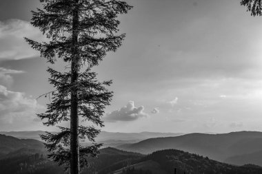 Siyah beyaz renklerde Karpat Dağları. Siyah beyaz fotoğrafçılık. Güzel manzara.