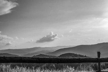 bir ağaç ile güzel dağ manzara
