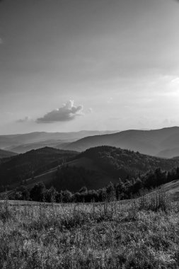 Karpatların güzel yaz manzarası siyah beyaz.