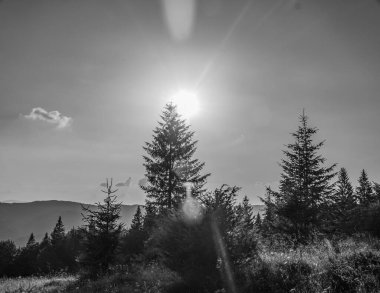 Dağlı ve dağlı güzel bir manzara.