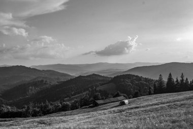 Karpatlar 'da siyah ve beyaz manzara
