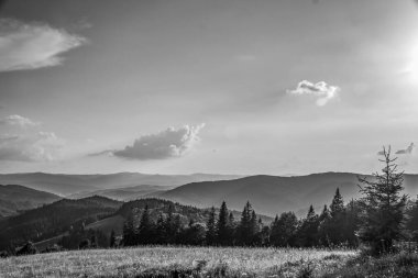 Karpat Dağlarının güzel yaz manzarası.