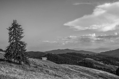 bulutlu siyah ve beyaz dağ manzarası