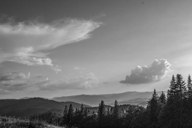 Güzel dağ manzarasının siyah beyaz fotoğrafı