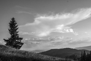 Dağların güzel manzarası