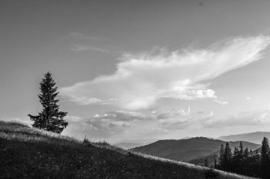 Dağlarda dağları olan güzel bir manzara.