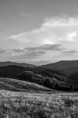 Ormanda dağları olan güzel bir manzara.