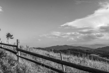 Yazın dağların siyah beyaz fotoğrafı