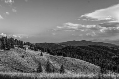 Karpat ormanlarında yeşil ağaçlı siyah beyaz dağlar.
