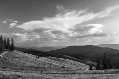 Ormandaki Karpat Dağlarının güzel manzarası