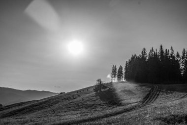 Güzel dağların siyah beyaz fotoğrafı.