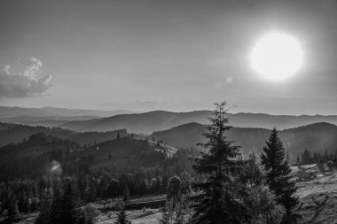 Orman, Karpatlar, Doğa Fotoğrafları - Avrupa, Doğu Avrupa, Romanya 