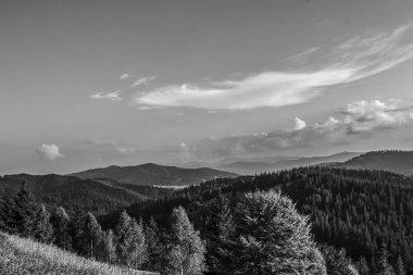 Dağlardaki güzel Karpatlar manzarası