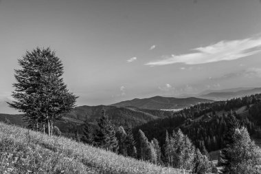 Güzel dağ manzarası. doğa arkaplanı