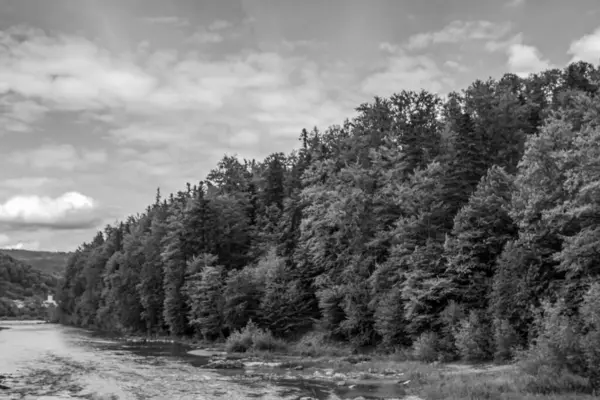 Norveç 'te siyah ve beyaz manzara