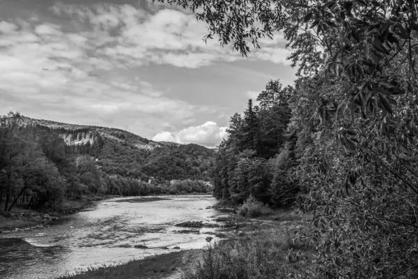 Nehir ormandan akıyor.