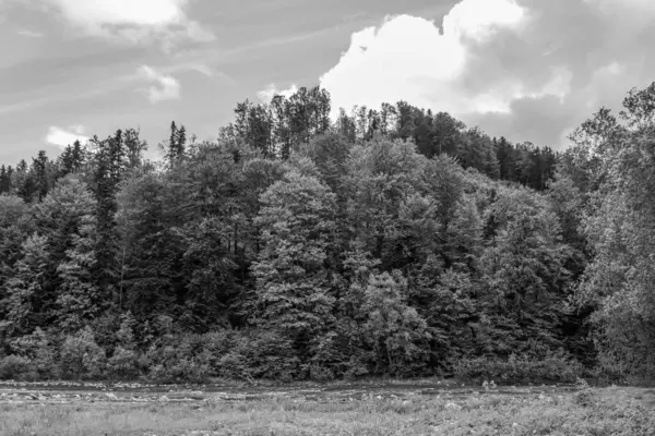 Arka planda bir nehir ve ağaç olan güzel bir manzara.
