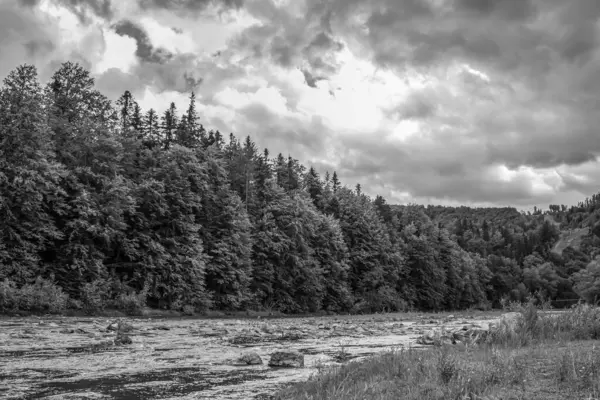 Ormanın içinden akan nehir