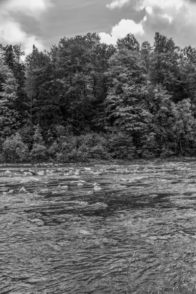 Ormandaki nehrin suyu.