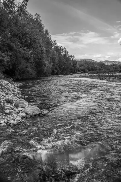 Ormandan akan nehrin güzel manzarası.