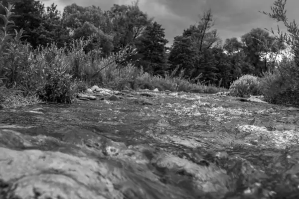 Ormanda güzel bir nehir. Kara nehir dağlarda..