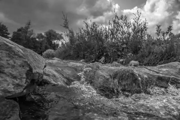 Bulutlu gökyüzünün altındaki ormanda taşların gri tonlu görüntüsü.