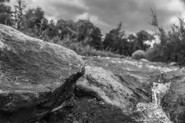 Nehirdeki suyun siyah beyaz arkaplanı