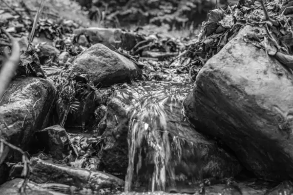 Şelalenin siyah beyaz fotoğrafı.