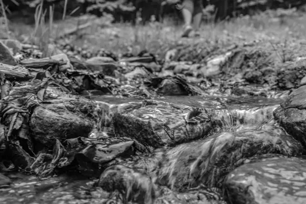 bir sürü su damlası olan siyah beyaz arkaplan