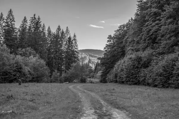 Dağların güzel manzarası