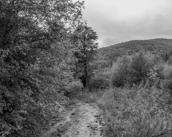 bir dağ yolunun siyah beyaz resmi
