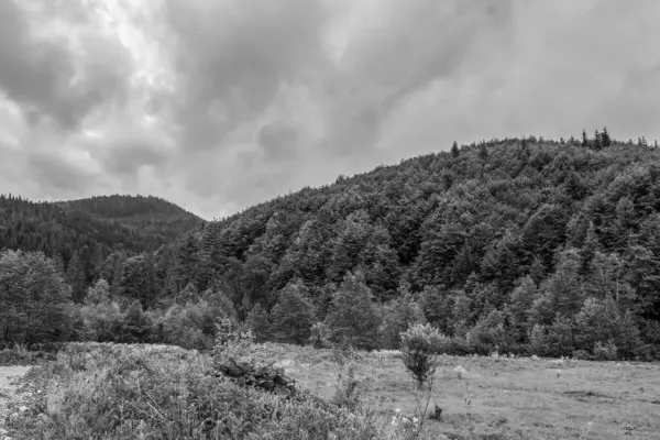 Dağ manzarasının siyah beyaz fotoğrafı.