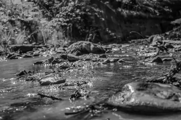 Barselona şehrindeki bir nehrin siyah beyaz fotoğrafı
