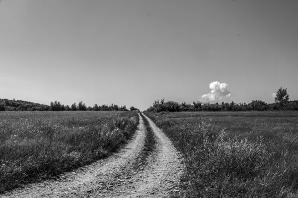Çimenlerin güzel manzarası ve bulutlu bir gökyüzü.