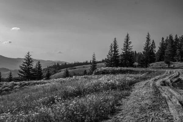 Dağ yolu olan güzel bir manzara