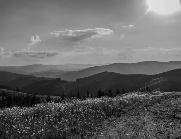 Önünde ağaçlar olan güzel bir dağ manzarası.