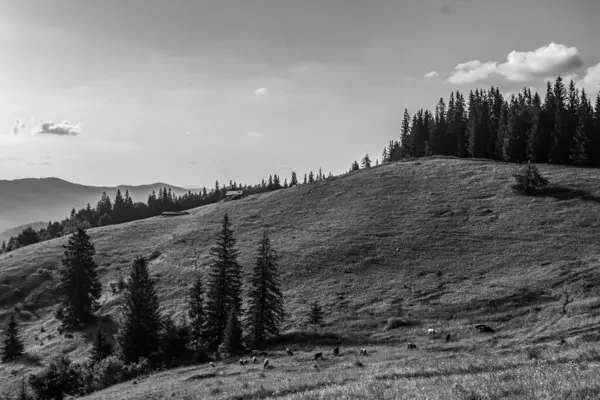 Bir dağ sırası ile güzel bir yaz manzarası